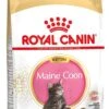 Royal Canin Kattenvoer Maine Coon Kitten 2 Kg -Dierenwinkel Met Korting 3182550816502 1