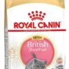Royal Canin Kattenvoer British Shorthair Kitten 2 Kg -Dierenwinkel Met Korting 3182550816533 1