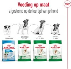 Royal Canin Hondenvoer Mini Adult 8+ 2 Kg -Dierenwinkel Met Korting 3182550831383 5