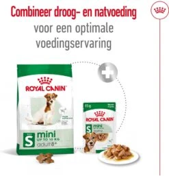 Royal Canin Hondenvoer Mini Adult 8+ 2 Kg -Dierenwinkel Met Korting 3182550831383 6