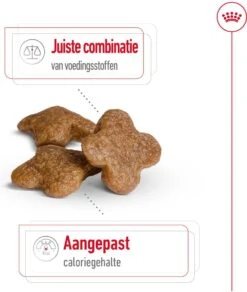 Royal Canin Hondenvoer Mini Adult 8+ 8 Kg -Dierenwinkel Met Korting 3182550831406 3