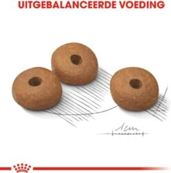 Royal Canin Hondenvoer Light Weight Care Medium 3 Kg -Dierenwinkel Met Korting 3182550852319 3