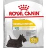Royal Canin Hondenvoer Dermacomfort Mini 3 Kg -Dierenwinkel Met Korting 3182550893916 1