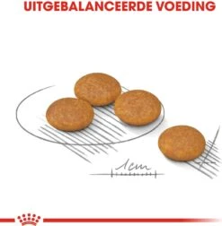 Royal Canin Hondenvoer Dermacomfort Mini 3 Kg -Dierenwinkel Met Korting 3182550893916 3