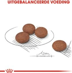 Royal Canin Hondenvoer Digestive Care Mini 3 Kg -Dierenwinkel Met Korting 3182550894012 3