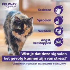 Feliway Optimum Navulling 48 Ml -Dierenwinkel Met Korting 3411113030469 3