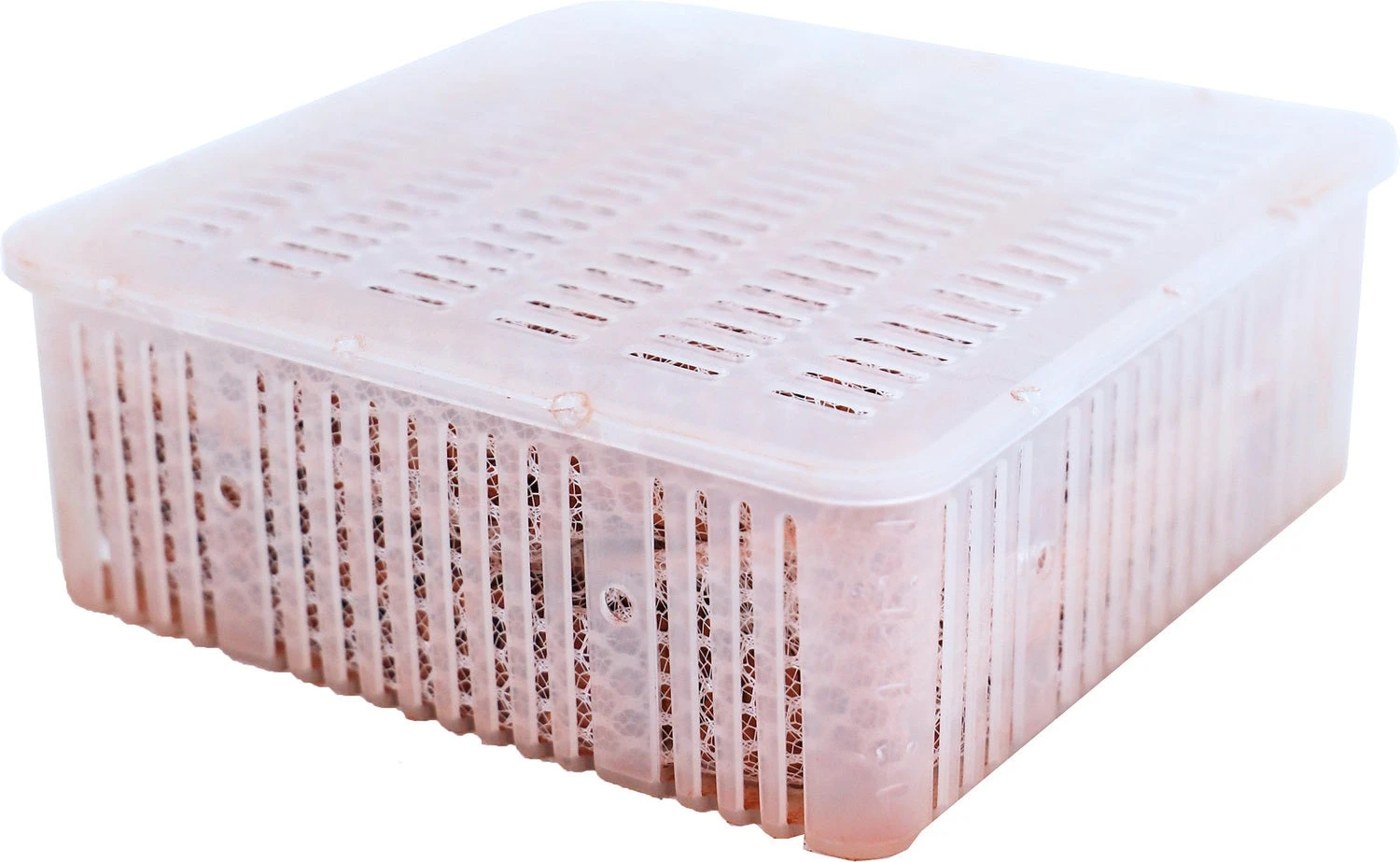 Juwel Filtermateriaal Phorax L 3 Juwel Filtermateriaal Phorax L - Afbeelding 2