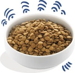 Edgard & Cooper Hondenvoer Verse Noorse Zalm Adult 12 Kg -Dierenwinkel Met Korting 5425039485072 3