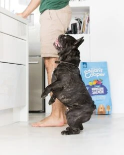 Edgard & Cooper Hondenvoer Verse Noorse Zalm Adult 12 Kg -Dierenwinkel Met Korting 5425039485072 7