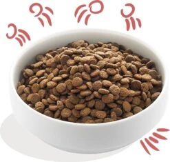 Edgard & Cooper Hondenvoer Verse Scharrelkip En Noorse Zalm Senior 7 Kg -Dierenwinkel Met Korting 5425039485188 3