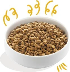 Edgard & Cooper Hondenvoer Bio Kalkoen En Kip Adult 2,5 Kg 10 Edgard & Cooper Hondenvoer Bio Kalkoen En Kip Adult 2,5 Kg -Dierenwinkel Met Korting 5425039485256 3
