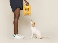 Edgard & Cooper Hondenvoer Bio Kalkoen En Kip Adult 2,5 Kg 13 Edgard & Cooper Hondenvoer Bio Kalkoen En Kip Adult 2,5 Kg -Dierenwinkel Met Korting 5425039485256 6