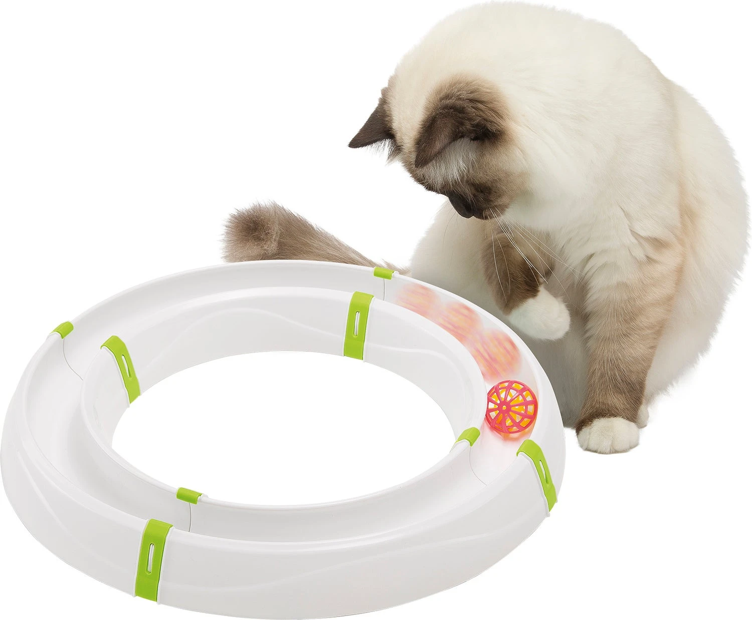Ferplast Kattenspeelgoed Magic Cirle Wit D 40 H 5 Cm 4 Ferplast Kattenspeelgoed Magic Cirle Wit D 40 H 5 Cm - Afbeelding 2