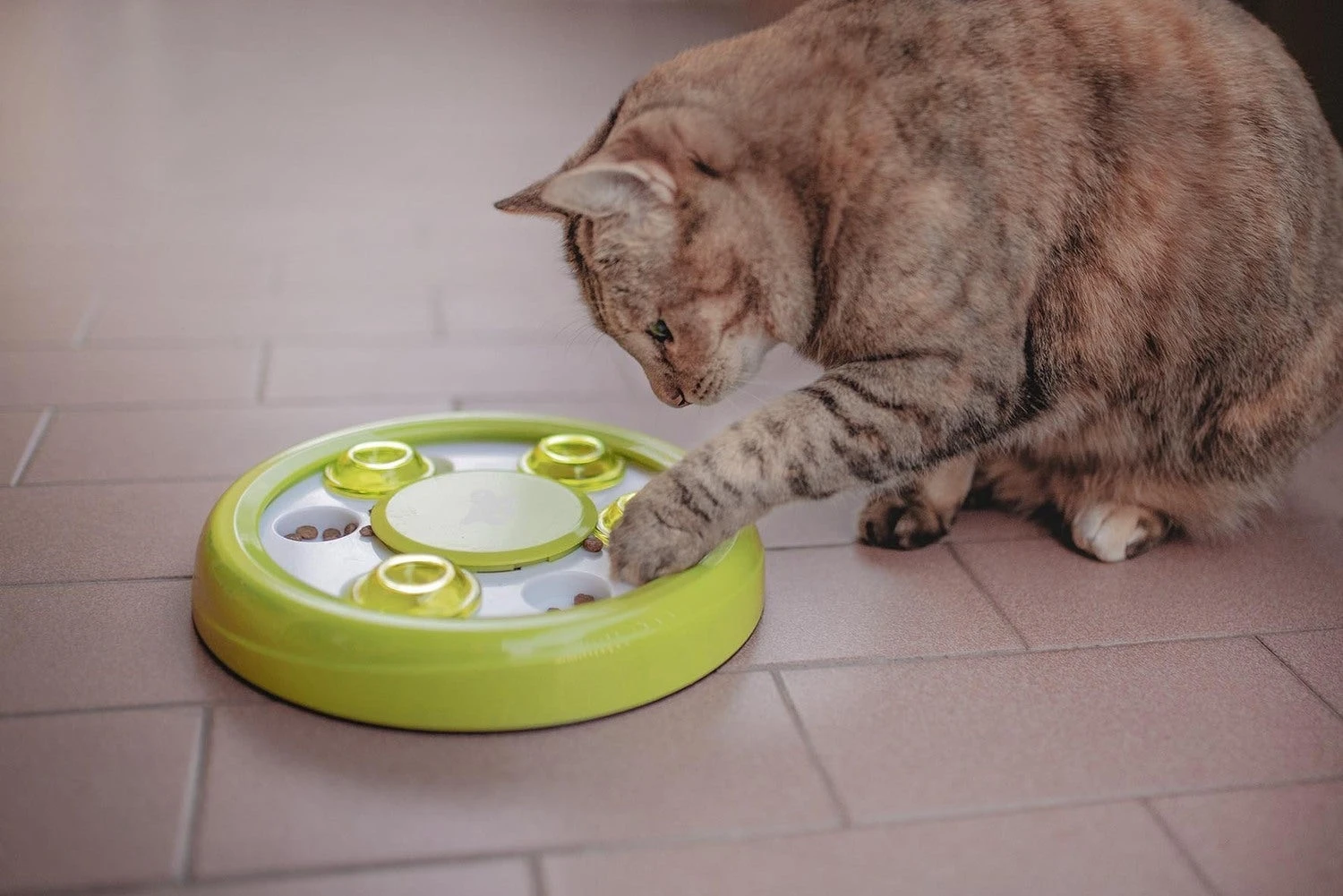 Ferplast Kattenspeelgoed Discover Groen D 23 Cm 7 Ferplast Kattenspeelgoed Discover Groen D 23 Cm - Afbeelding 5