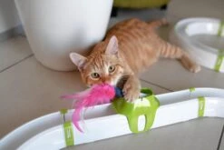 Ferplast Kattenspeelgoed Turbine Circuit 72,4 X 40,8 X 18 Cm -Dierenwinkel Met Korting 8010690176338 3