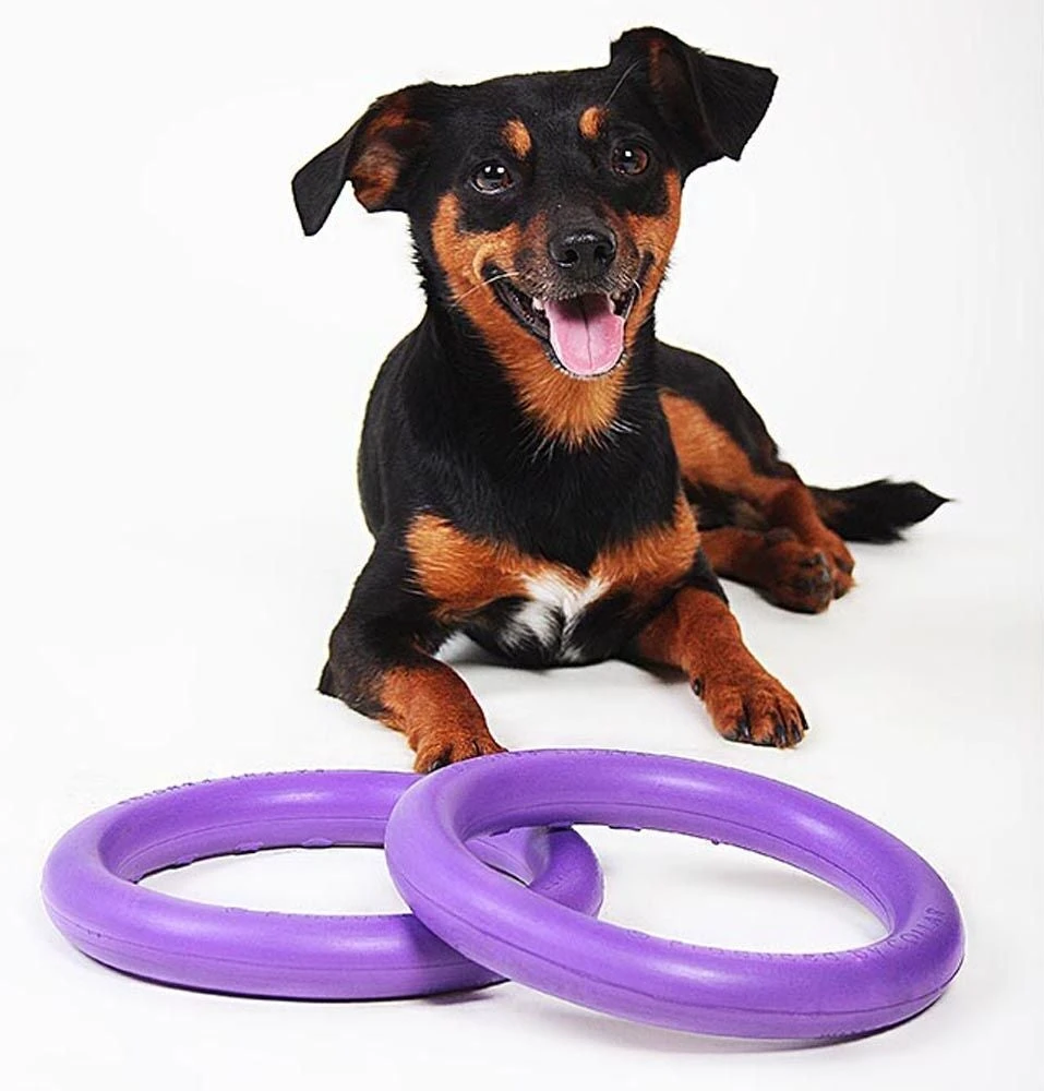 Ferplast Hondenspeelgoed Puller Mini Paars D 18 H 4,7 Cm 2 Stuks 8 Ferplast Hondenspeelgoed Puller Mini Paars D 18 H 4,7 Cm 2 Stuks - Afbeelding 6