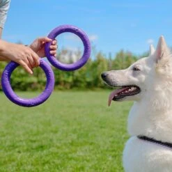 Ferplast Hondenspeelgoed Puller Midi Paars D 19 H 6,4 Cm 2 Stuks -Dierenwinkel Met Korting 8010690183022 7
