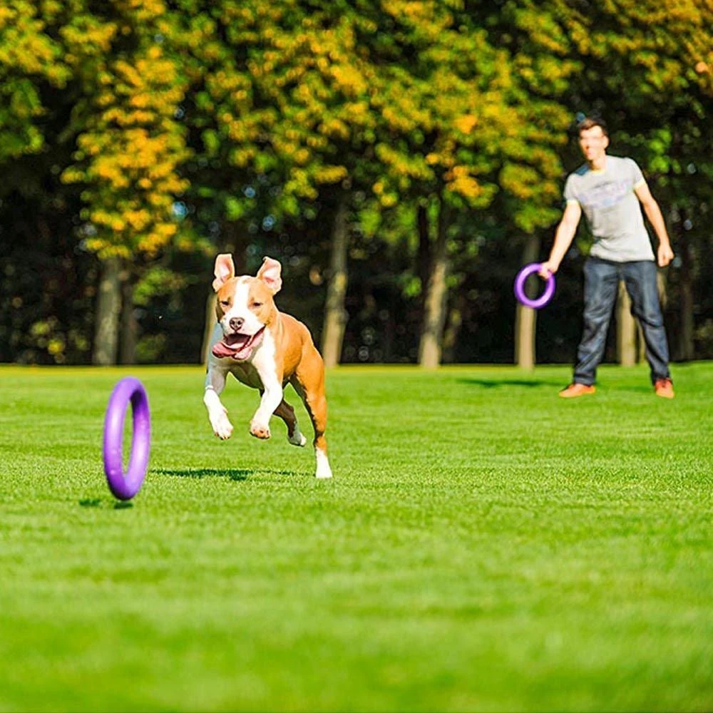 Ferplast Hondenspeelgoed Puller Standaard Paars D 27 H 8,5 Cm 2 Stuks 5 Ferplast Hondenspeelgoed Puller Standaard Paars D 27 H 8,5 Cm 2 Stuks - Afbeelding 3