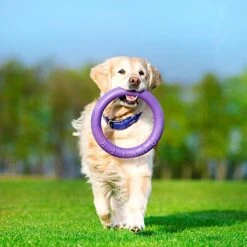 Ferplast Hondenspeelgoed Puller Standaard Paars D 27 H 8,5 Cm 2 Stuks 16 Ferplast Hondenspeelgoed Puller Standaard Paars D 27 H 8,5 Cm 2 Stuks -Dierenwinkel Met Korting 8010690183039 6