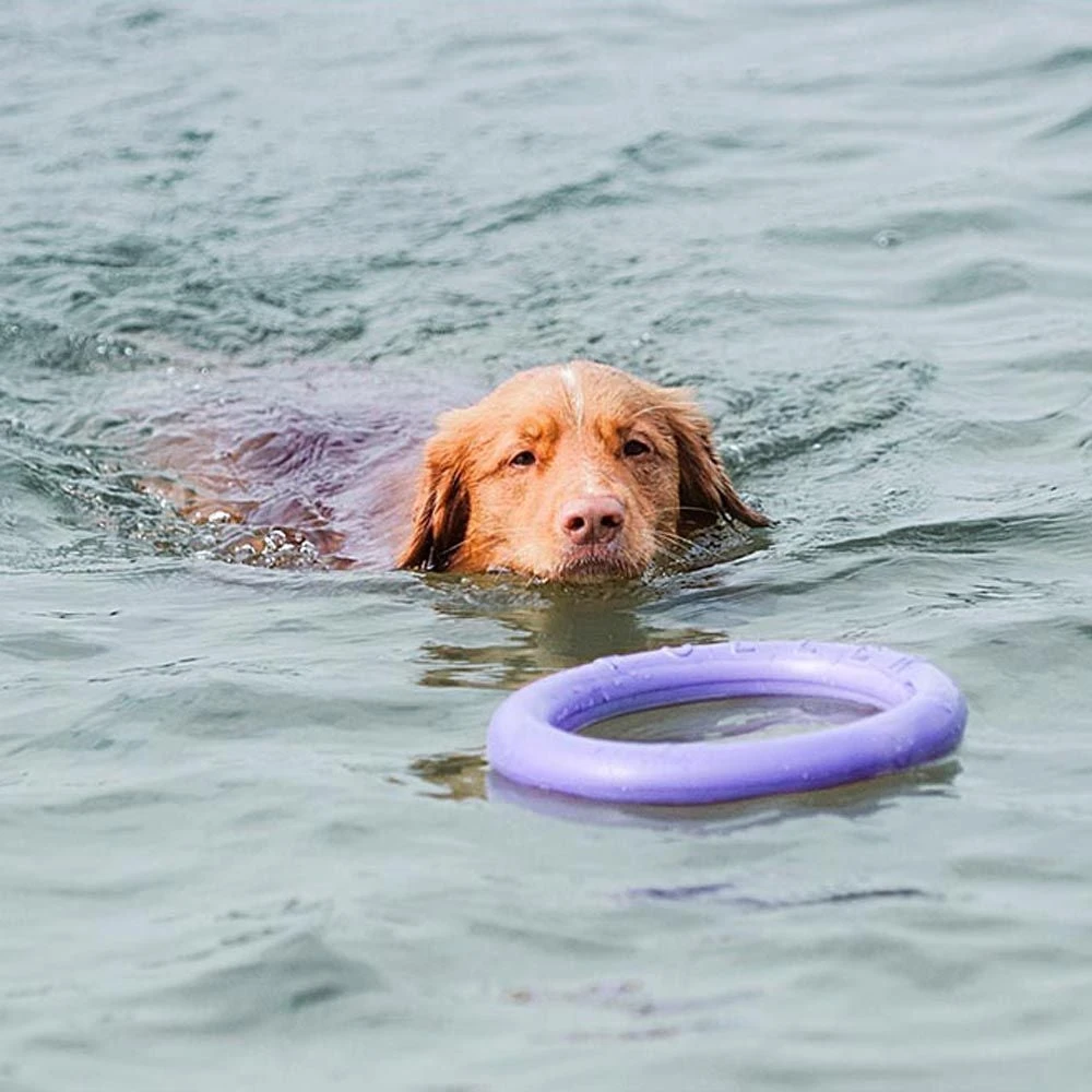 Ferplast Hondenspeelgoed Puller Standaard Paars D 27 H 8,5 Cm 2 Stuks 10 Ferplast Hondenspeelgoed Puller Standaard Paars D 27 H 8,5 Cm 2 Stuks - Afbeelding 8