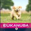 Eukanuba Hondenvoer Puppy (extra) Groot Lam En Rijst 12 Kg 1 Eukanuba Hondenvoer Puppy (extra) Groot Lam En Rijst 12 Kg -Dierenwinkel Met Korting 8710255120645 0 1