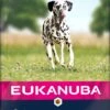 Eukanuba Hondenvoer Adult (extra) Groot Zalm En Gerst 12 Kg