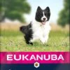 Eukanuba Hondenvoer Adult Klein/middel Lam En Rijst 12 Kg -Dierenwinkel Met Korting 8710255121215 0 1