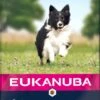 Eukanuba Hondenvoer Senior Klein/middel Lam En Rijst 12 Kg 1 Eukanuba Hondenvoer Senior Klein/middel Lam En Rijst 12 Kg -Dierenwinkel Met Korting 8710255121390 0 1