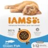 Iams For Vitality Kattenvoer Kitten Vis 10 Kg -Dierenwinkel Met Korting 8710255188447 0