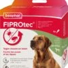 Beaphar Vlooiendruppels Fiprotec Hond 20-40 Kg 4 Stuks -Dierenwinkel Met Korting 8711231154937 0 1