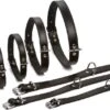Beeztees Hondenhalsband Leer L Zwart 65 Cm -Dierenwinkel Met Korting 8712695052081 1 1