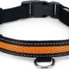 Beeztees Hondenhalsband Safety Gear Ruflo Oranje 55-70 X 2,5 Cm -Dierenwinkel Met Korting 8712695147848 1