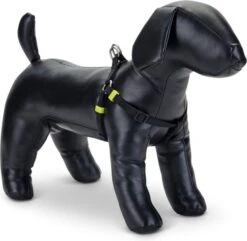 Beeztees Hondentuig Uni Zwart 46-75 X 2 Cm