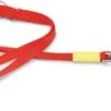 Beeztees Hondenriem Uni Rood 200 X 2 Cm -Dierenwinkel Met Korting 8712695159193