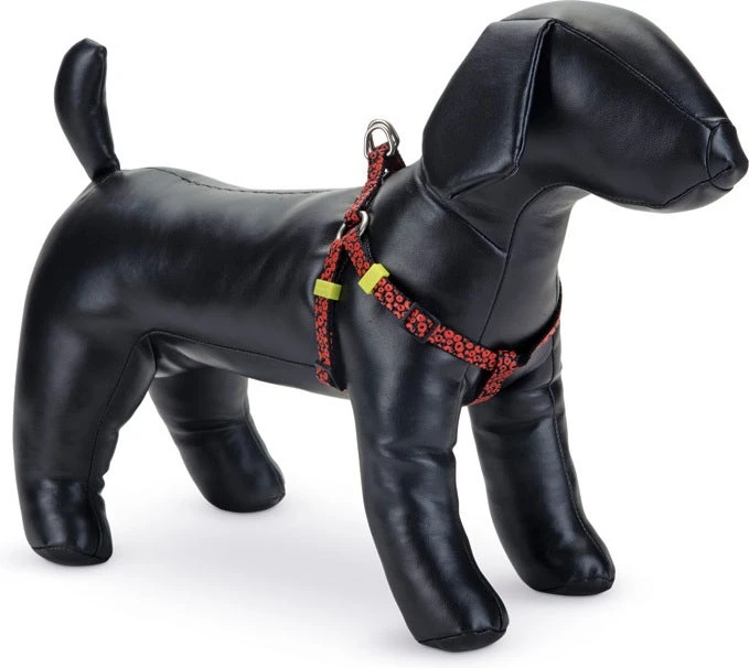 Beeztees Hondentuig Scribbles Zwart 35-60 X 1,5 Cm 3 Beeztees Hondentuig Scribbles Zwart 35-60 X 1,5 Cm