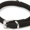 Beeztees Hondenhalsband Buffalo Zwart 27 X 1 Cm -Dierenwinkel Met Korting 8712695164432 1