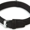 Beeztees Hondenhalsband Buffalo Zwart 45 X 2,4 Cm