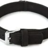 Beeztees Hondenhalsband Buffalo Zwart 50 X 3 Cm -Dierenwinkel Met Korting 8712695164487 1