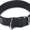 Beeztees Hondenhalsband Vintage Zwart 70 X 5 Cm -Dierenwinkel Met Korting 8712695165583 1