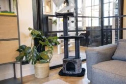 Beeztees Krabpaal Bondica Zwat 50 X 50 X 120 Cm -Dierenwinkel Met Korting 8712695167020 4