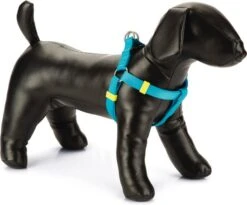 Beeztees Hondentuig Uni Lichtblauw 35-60 X 1,5 Cm