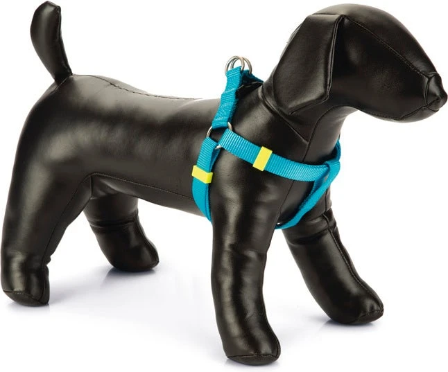 Beeztees Hondentuig Uni Lichtblauw 35-60 X 1,5 Cm 3 Beeztees Hondentuig Uni Lichtblauw 35-60 X 1,5 Cm