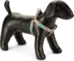 Beeztees Hondentuig Eyes Beige 35-60 X 1,5 Cm