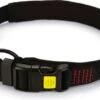 Beeztees Hondenhalsband Parinca Premium Zwart 55-60 X 3 Cm -Dierenwinkel Met Korting 8712695183136 1