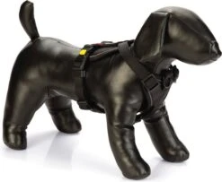 Beeztees Hondentuig Parinca Premium Zwart 45-57 X 2 Cm