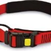 Beeztees Hondenhalsband Parinca Premium Rood 60-65 X 3 Cm -Dierenwinkel Met Korting 8712695183389