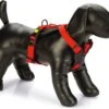 Beeztees Hondentuig Parinca Premium Rood 45-57 X 2 Cm -Dierenwinkel Met Korting 8712695183464 1
