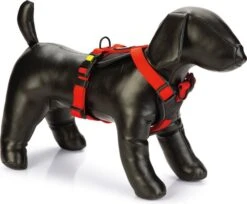 Beeztees Hondentuig Parinca Premium Rood 73-94 X 3 Cm