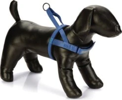 Beeztees Hondentuig Parinca Premium Comfort Blauw 42-53 X 2 Cm