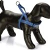 Beeztees Hondentuig Parinca Premium Comfort Blauw 52-62 X 2,5 Cm -Dierenwinkel Met Korting 8712695183631 1